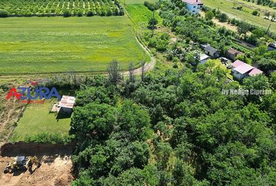 Teren pentru vile in centrul orasului Costesti, 3000 mp - 12