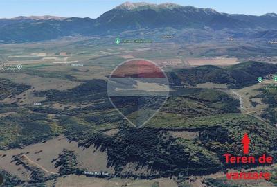 Teren Poiana Marului, 2053mp,  741mp si 3906mp inconjurat de padure - 9