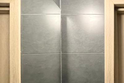 Garsonieră - ULTRACENTRAL  Facultati drept si vet. Recent RENOVATA - 7