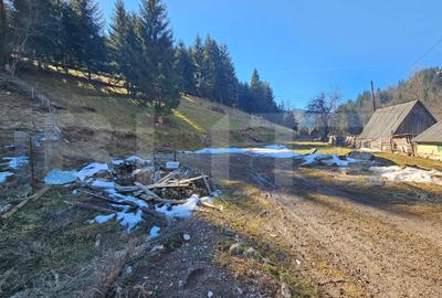 Teren Construcții intravilan de 2977 mp, în Scărișoara