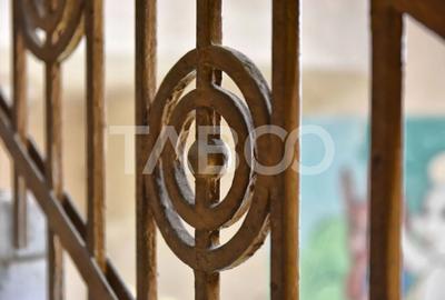 Vila interbelica isi asteapta cu speranta tacuta noul proprietar - 6