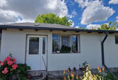 Casa din BCA cu teren 2100 mp - 7