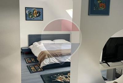 Pensiune - Domeniu montan - Casa si cabana 14 camere de vânzare - 9
