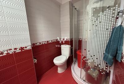 Apartament 3 camere mobilat-utilat cu GARAJ - Doamna Stanca - 13