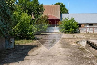 Proprietate Industrială & Logistică - 2