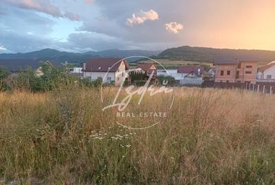 Teren intravilan pentru casa in Talmaciu - 4
