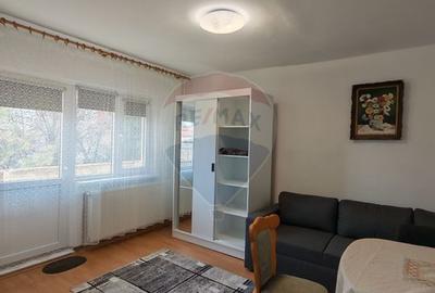 Apartament cu 1 camere decomandat în Brazda lui Novac