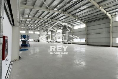 DE ÎNCHIRIAT Spațiu Industrial Premium – 535 mp utili | Sibiu - Vest - 18
