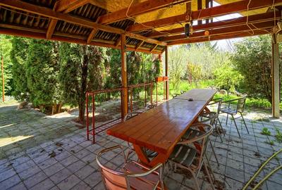 VILA CU PISCINA SCROVISTEA, IDEALA CAMIN DE BATRANI - 11