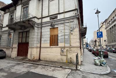VANZARE CASE VILE GRADINA ICOANEI - 9