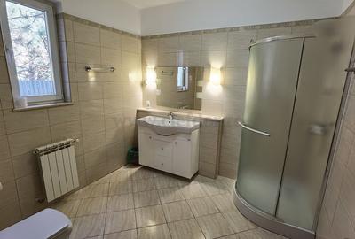 Vila Individuala cu Piscina in zona Iancu Nicolae - 9