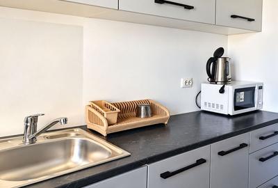 Apartament cu 3 camere - str. Domneasca, ultracentral, bloc nou - 700 euro - 9