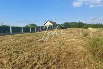 Teren intravilan pentru casa in Talmaciu - 10
