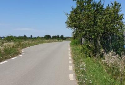 Teren Construcții intravilan de 7400 mp, în Ciolpani