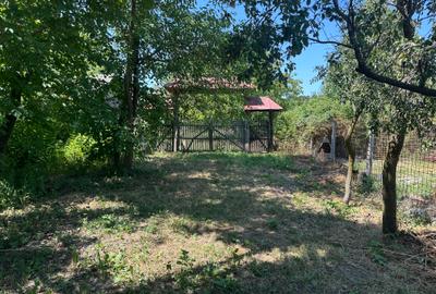 (316) Teren pentru casa in Albota, langa Pitesti - 1