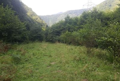 Teren Construcții intravilan de 2834 mp, în Râu de Mori