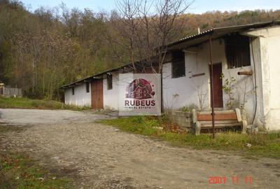 Fost hangar nautic de renovat – oportunitate de investiție! - 7