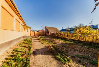 Casă de vânzare 2189mp - Seitin, judetul Arad - 18