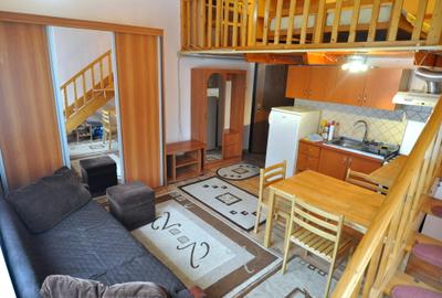 Apartament cu 1 cameră la casa in zona Balcescu - 4
