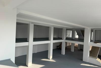 SPATIU COMERCIAL - 2