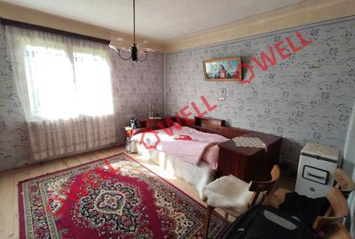 Casă familială de vânzare în Lutoasa! - 8