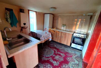 CASĂ DE VÂNZARE | 1.483 MP TEREN | ARICEȘTII RAHTIVANI | 55.000 euro - 7
