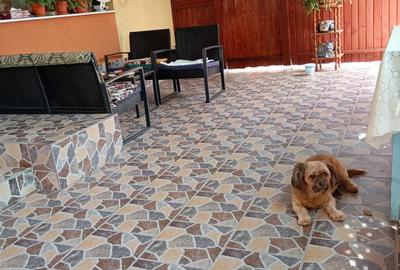 Casa individuala | 3 dormitoare | teren 595 mp | Emil Racovita, Pitesti - 10