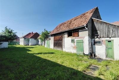 Casa de locuit (Chileni, str. Principala) - 13