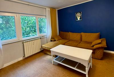 Piata ALBA IULIA/DECEBAL,nestradal,apartament superb,ideal locuit,utilat complet - 15