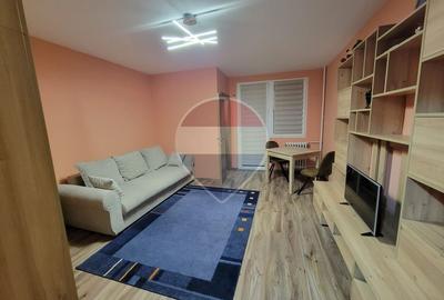Garsonieră modernă complet renovata in Vatra Luminoasă - 2