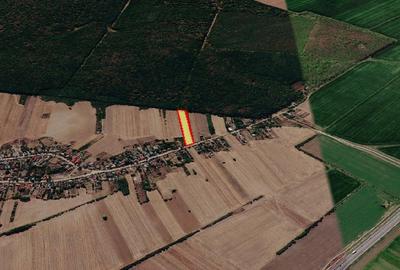 Snagov, Gruiu, Teren Intravilan 8,300 mp, Strada Tobosari - 3
