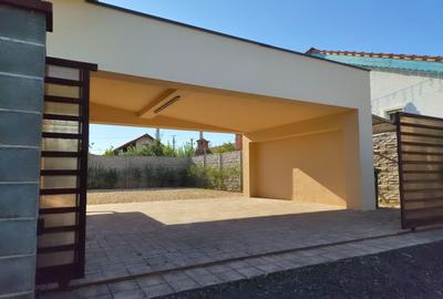 Casa Individuala Chisoda - 45
