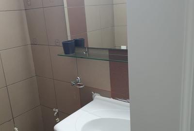13 Septembrie Petre Ispirescu 2 camere de inchiriat 400 euro - 9