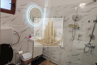Casă cu 3 unități de cazare în regim hotelier – Zona Traian, Timișoara - 21