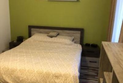 Apartament 2 camere Baneasa-Sisesti de inchiriat - 6