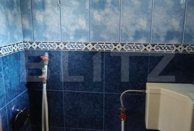 Casă individuală 4 camere, 195 mp utili, Sat Viștea - 18