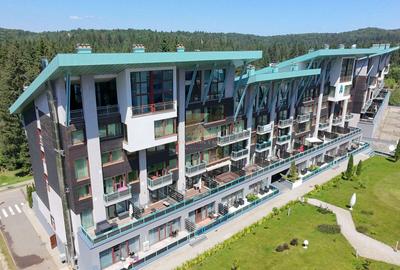 Apartament tip loft cu șemineu, situat în Silver Mountain Resort - 13