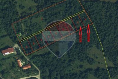 Teren Construcții intravilan de 2034 mp, în Viștișoara