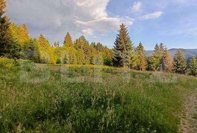 Teren Construcții intravilan de 1500 mp, în Sud