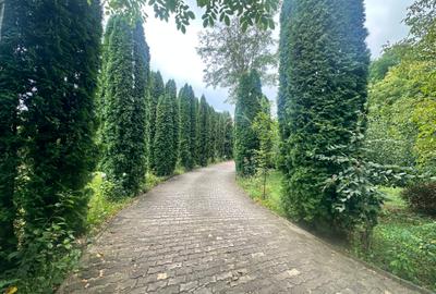 Sighișoara - Pensiune pe un domeniu de 8000 mp - 4
