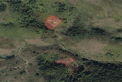 Portofoliu funciar de peste 10 hectare | Izbuc - Carpinet | Jud. Bihor - 6