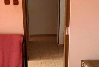 Apartament trei camere de vanzare zona B-dul cu Castani - 8