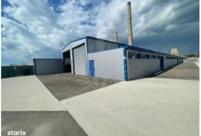 Spațiu industrial, în Brazi