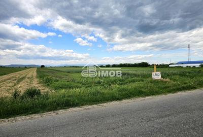 Teren extravilan agricol 2.500 m² | 21 ml deschidere | Filipeștii de T - 2