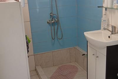 Proprietate de vanzare in Golești - 10800 mp teren și două case - 12