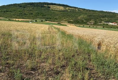 Teren agricol intravilan de 2000 mp, în Șoimuș