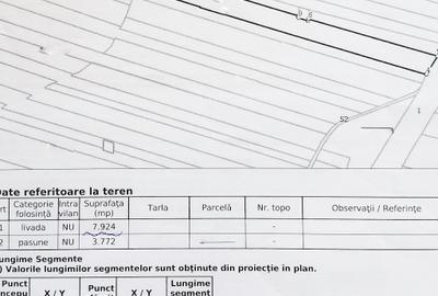 Parcele Teren Extravilan Livada si Pasune Lunca Corbului  Arges - 4
