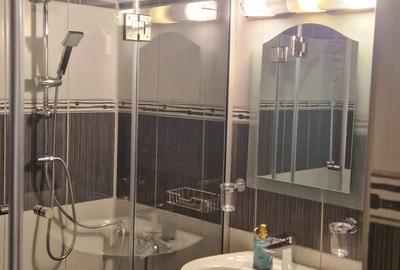 Apartament 2 camere decomandat Centru Str Anastasie Panu - 5