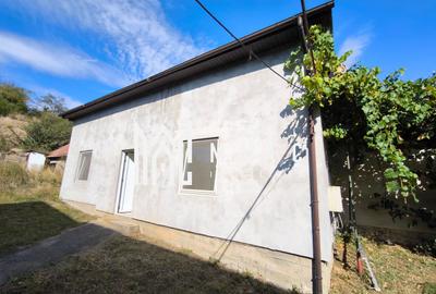 Casă individuală cu 3 camere în Vest