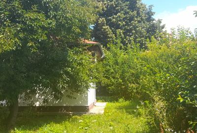 Casa in Darmanesti - 4